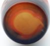 Picture of D'Argental (French) - Cameo Glass Vase With Leaf And Berry Motif